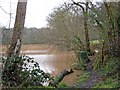 Path by side of fishing pond in WR6 6NJ