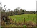 Public footpath through field in WR6 6NJ