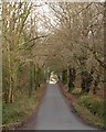 Road to Blagdon Hill in TA3 7SL