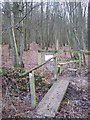 Footbridge and stile into Lamberden Wood in TN26 3EW