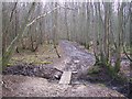 Footbridge in Lamberden Wood in TN26 3AR