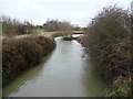 River Erewash upstream from footbridge in NG10 4LS