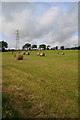 Hay bales near Washingdales in DD8 1XN