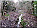Stream and Sussex Border Path in Dickhurst Great Copse in GU28 9EJ
