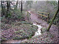 Bridge carrying the Sussex Border Path over stream in GU28 9EJ