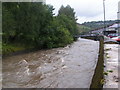 River after heavy rain in NP13 2RN