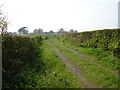 Footpath Nr Pebsham East Sussex in TN40 2RX