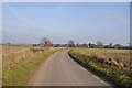 Small Rural road in NR15 1DD