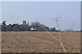 Bergh Apton Fields and church in NR15 1DD