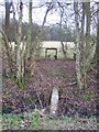Footbridge and Stile in Mayshaves Wood in TN26 3JY