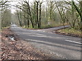 View south on Jobson's Lane in GU28 9EJ