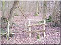 Stile into Kiln Wood in TN26 3PT
