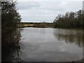 Lake between Chafold Copse on the left and Burrell's Wood in GU28 9HJ