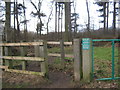 Woodland footpath Newton Aycliffe in DL5 4ZE