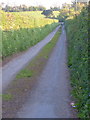 Lane from Two Crosses in EX6 7AD