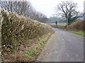 Hedge cutting near Cranborne in BH21 5RD