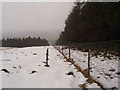 Deer fence heads for the mist of Glen Prosen in DD8 4QP