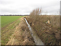 Footpath along the ditch in PE15 0FB