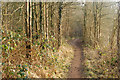 Public footpath through Nun Wood (1) in CV23 9PZ