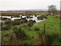 Flooded meadow near Wareham in BH20 4JD