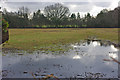 Waterlogged field, Smallfield in RH6 9JT