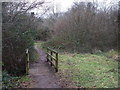 Footpath amongst bushes, Pentwyn, Cardiff in CF23 7DQ