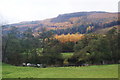 The Derwent valley at Beeley in DE4 2ND