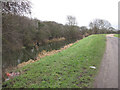 Footpath along Forty Foot Drain in PE16 6XQ