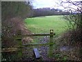 Footpath near Sandleheath in SP6 1PY