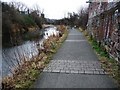 Speed bumps on the Union Canal towpath in EH11 1SB