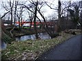 Water of Leith Walkway, with Booker's orange warehouse behind the trees in EH14 2JZ
