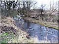 Water of Leith, just below the confluence with Murray Burn in EH11 3JL