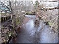 View downstream from footbridge on the Water of Leith Walkway in EH11 3JL