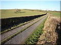 The track to Middle Langthwaite in LA2 0RE