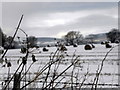 Snow covered harvested wheat field in IV19 1QW