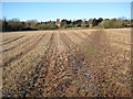 Footpath and stubble field, Martley in WR6 6BF