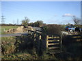 Stile and footbridge near Whitson in NP18 2PG