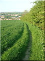 Footpath beside a hedge, Upper Hopton in WF14 8JF