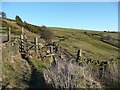 Footpath near Snydal Farm, Halifax in HX3 9BW