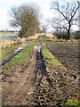 Field track in LN7 6EZ