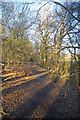 Path Through Shepherds Spinney in CM14 5PU