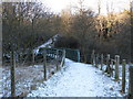 Footbridge over the Rotten Calder in G72 7TH