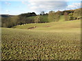Farmland above the Teme valley in WR6 6PG