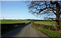 Palterton Lane near Deepdale Farm in S44 5UT