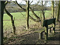 Seat on the Rowthorne Trail in NG17 3JQ