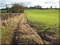 Footpath near Hillend Farm in WR6 6PG