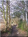 Footpath to Birch Wood in TN4 0UT