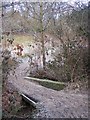 Footbridge on Wealdway near Southborough Cemetery in TN4 0RJ