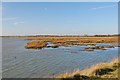 Salt-marsh, Paglesham Reach in SS3 0NN