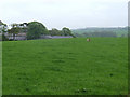Field and roof tops of farm buildings in Cwm Cadnant Community